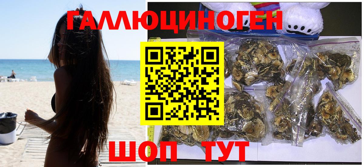Псилоцибиновые грибы ЛСД  Вход с VPN  где можно купить наркотик  Выборг 