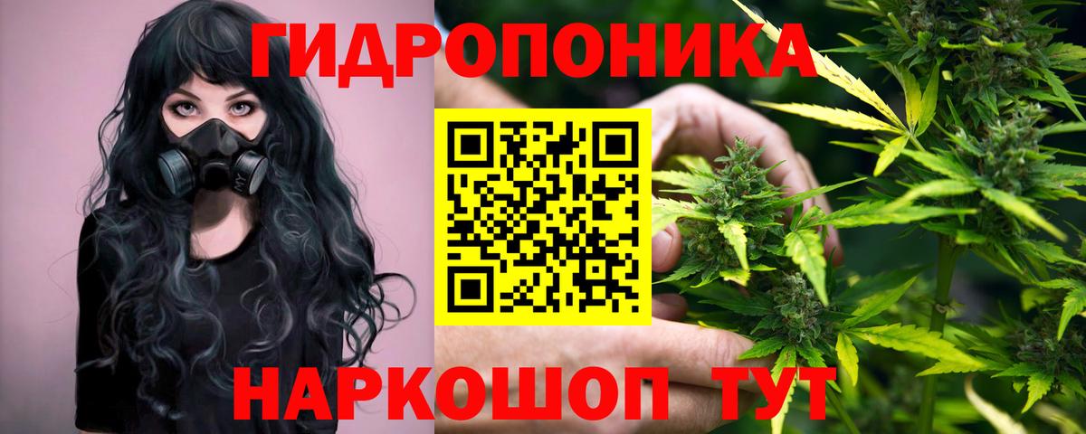 Марихуана план  Бошки Шишки Ganja  Выборг  Вход с VPN 